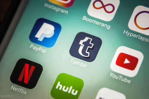 軟件開發過程的關鍵步驟與信息咨詢服務的融合實踐