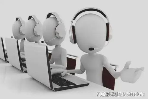 蕓豆花官網客服服務體系升級，提供全方位用戶信息咨詢服務